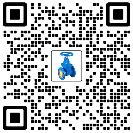 大型水系統(tǒng)閥門(mén)制造商-TVI塘沽一閥-上海漢克斯閥門(mén)制造有限公司